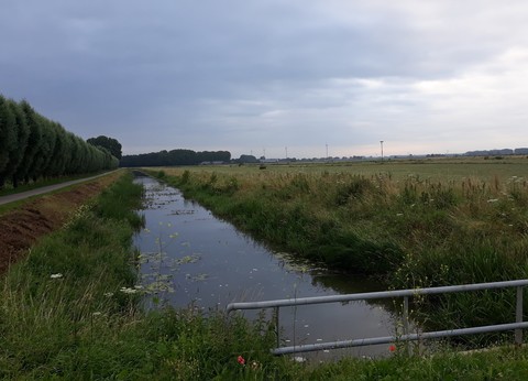 Minicamping Smids foto 4