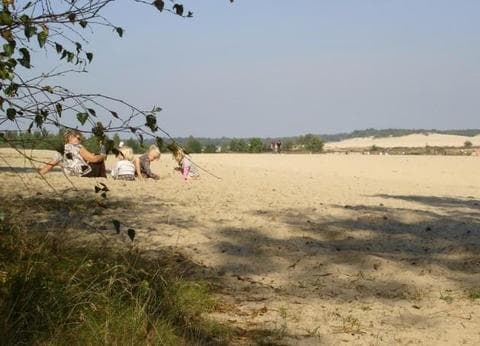 Minicamping De Stamhoeve foto 5