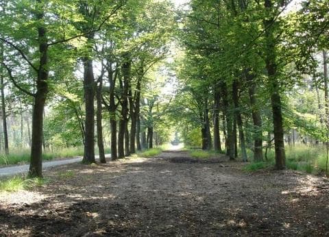 Minicamping De Stamhoeve foto 8