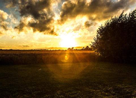 Minicamping Sterrenbos foto 1