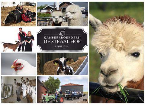 Boerderij de Straat-Hof foto 1