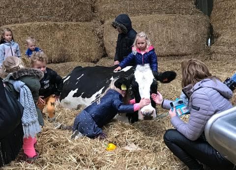 Boerderij de Straat-Hof foto 6
