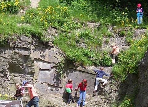 Recreatieboerderij Tergracht foto 4