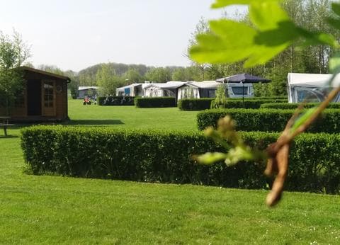 Het Twiskerveld foto 2