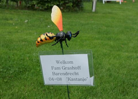 Ut Paradèske foto 4