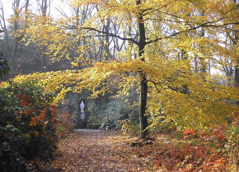 Ut Paradèske foto 3