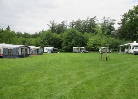 Veenemaat minicamping en B&B foto 6