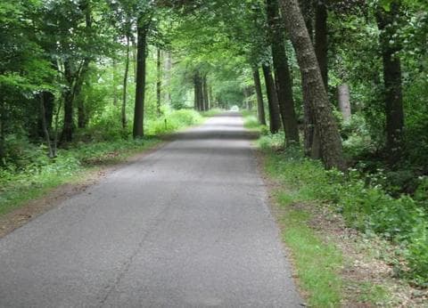 Veenemaat minicamping en B&B foto 9