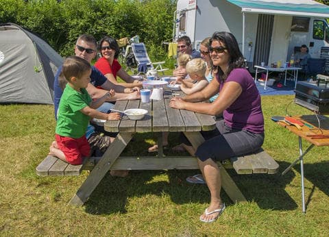 Minicamping 't Veld foto 6