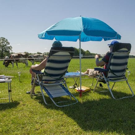 Minicamping 't Veld foto 9