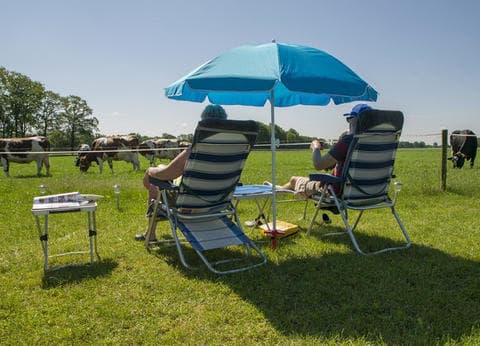 Minicamping 't Veld foto 8