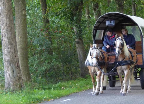 Minicamping 't Veld foto 1