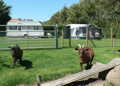 Minicamping en Vakantiewoningen 't Veldehof foto 8