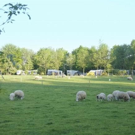 De Veldmeijer foto 5