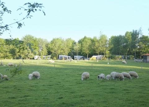 De Veldmeijer foto 4