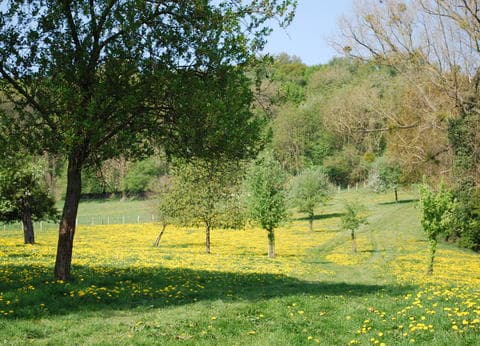 Camping De Vinkenhof foto 5