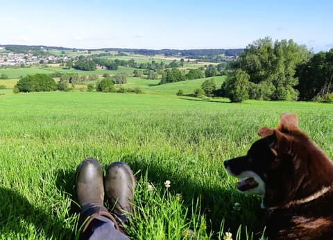 Vakantie Voncken foto 9