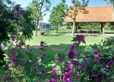 Camping Vorrelveen foto 1