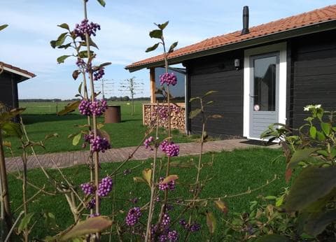 Camping Vorrelveen foto 4