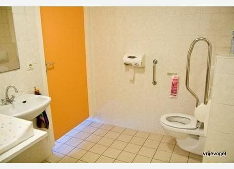 Vrije Vogel Texel foto 8