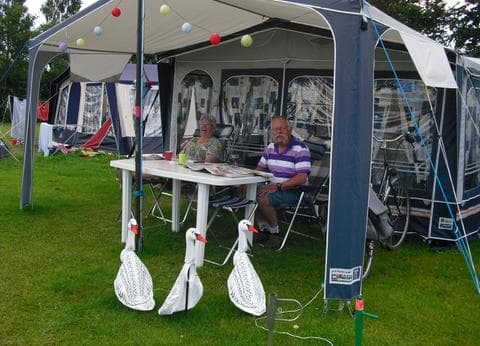 Vrije Vogel Texel foto 4