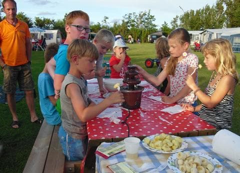 Vrije Vogel Texel foto 3