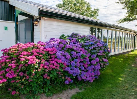 Vrije Vogel Texel foto 1