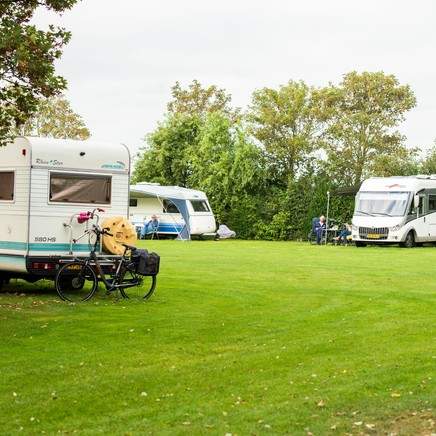 Vrije Vogel Texel foto 9