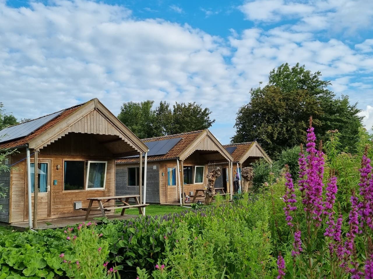 zelt was sich selbst aufbaut Cape 8.3 quadratisches Pop-up-Campingzelt für 6 Personen Farbe:JUNGLE GREEN Wochenende Angebot - Stellplaetze Can-Am-Outlander-T-1000-2022