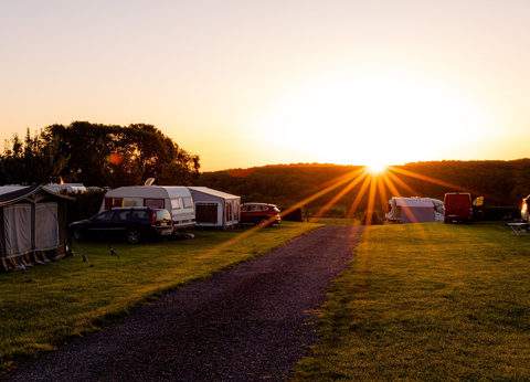 Camping Welkom foto 4