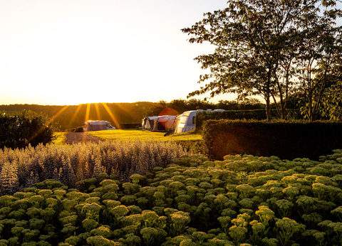 Camping Welkom foto 3