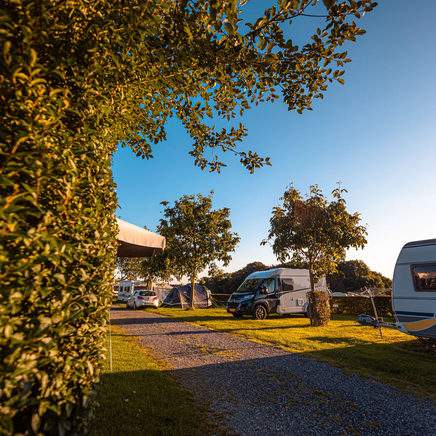 Camping Welkom foto 7