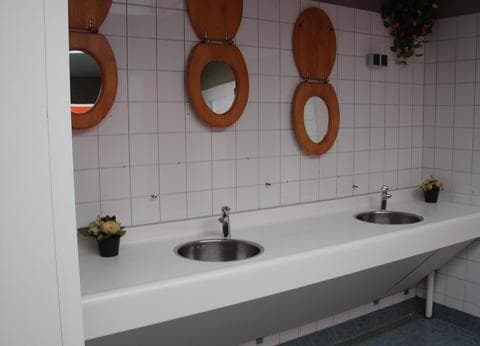 Camping't Westdorp gelegen op de Veluwe foto 3