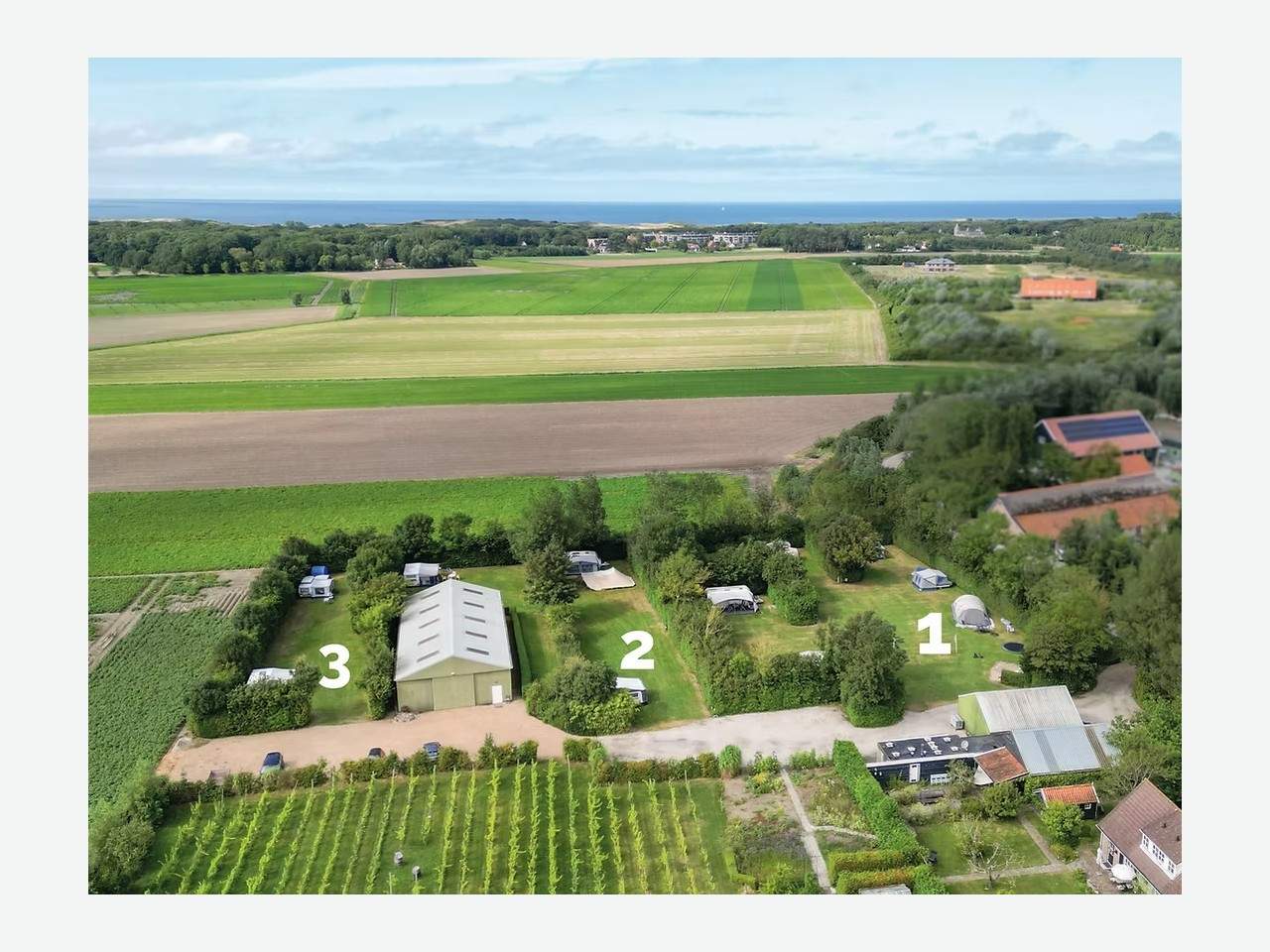 Westerhoeve Camping en Wijngaard, Zeeland | In het Groen