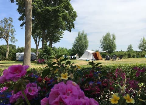 Minicamping Westerwijk foto 1