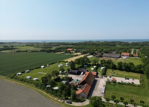 Minicamping Westerwijk foto 4