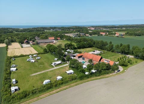 Minicamping Westerwijk foto 6