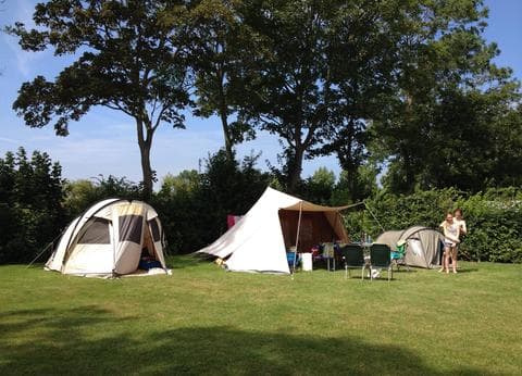 Minicamping Westerwijk foto 7