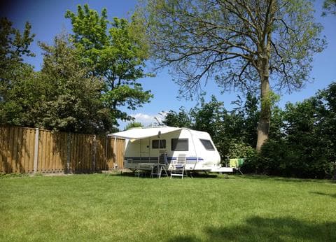 Minicamping Westerwijk foto 8