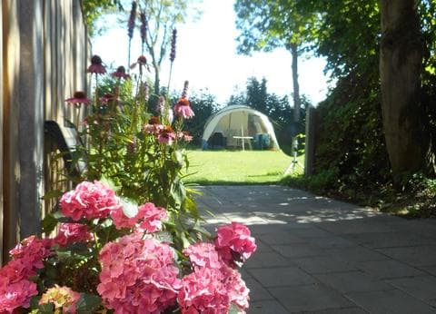 Minicamping Westerwijk foto 2