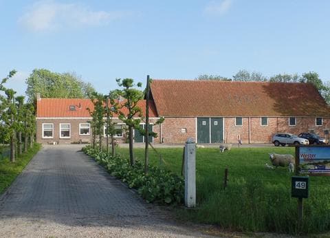 Minicamping Westerwijk foto 9