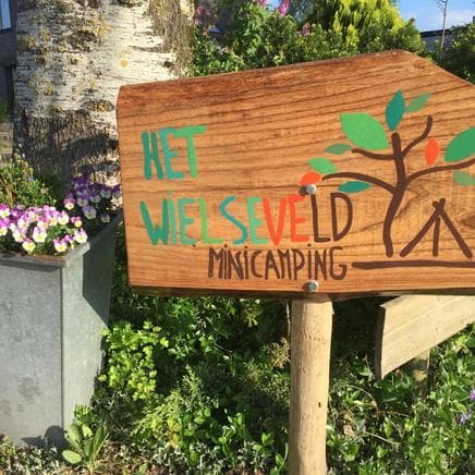 Minicamping Het Wielseveld foto 8