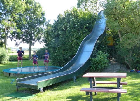 De Wilde Flora foto 7