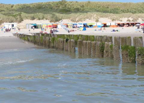 De Wilde Flora foto 1