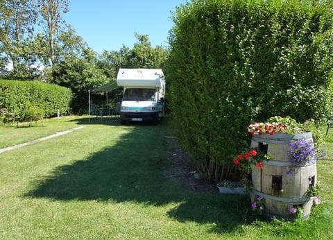 De Wilde Flora foto 4