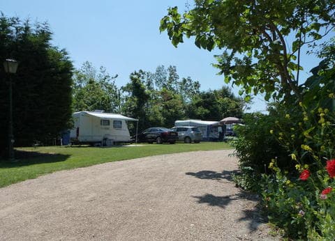 De Wilde Flora foto 5