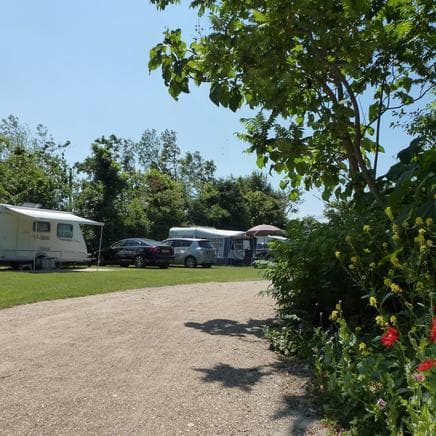 De Wilde Flora foto 9