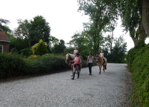 De Wilde Flora foto 3