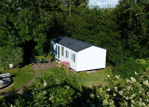 De Wilde Flora foto 2