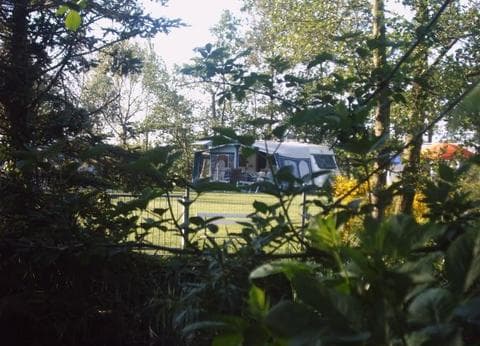 Logeren bij de boer foto 1